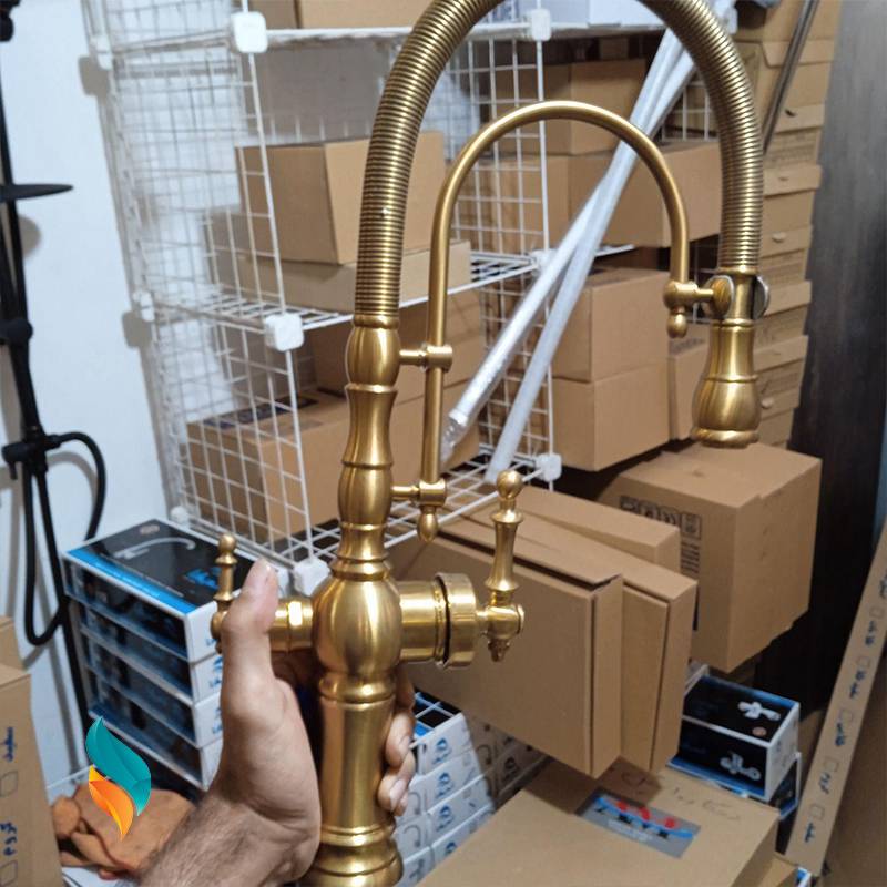 ظرفشویی دومنظوره فنری رنگ طلامات